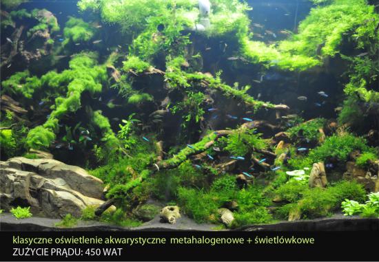 Com_LED_Lampa_metahalogenowa_plus_swietlowka_lacznie_450_Wat