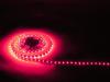 Diody LED