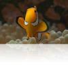 LED_Lampa_LED_do_akwarium_comled_pl_najlepsze_swiatlo_do_akwarium_Fish_mini_nemo