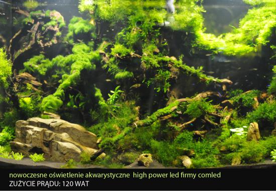 LED_Lampa_LED_High_power_led_4x30Wat_lacznie_120_Wat